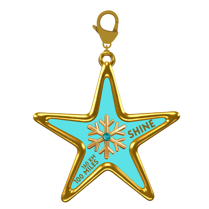 Shine Like a Star 100 Mile Challenge - Charm for bracelet!- NOW SHIPPING