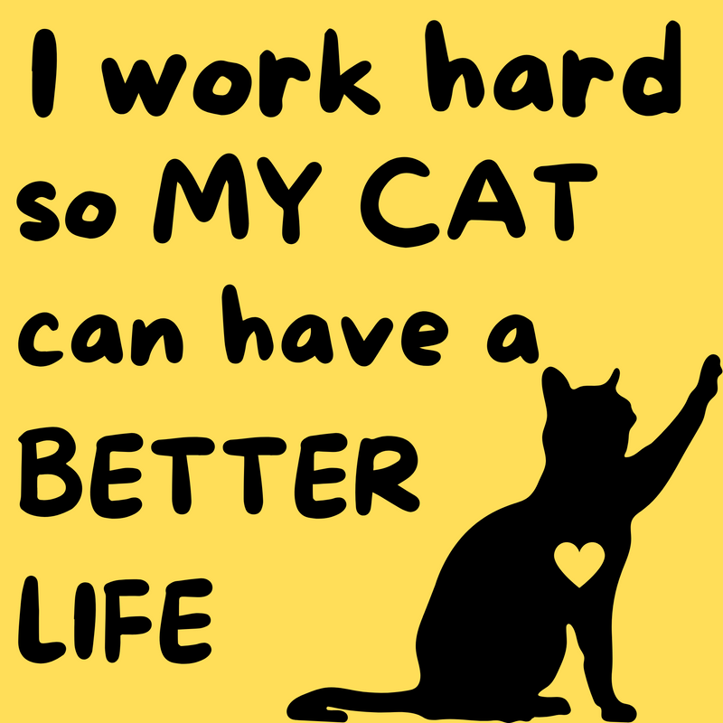Work Hard for Cat - Vinyl Sticker - SOS Fund