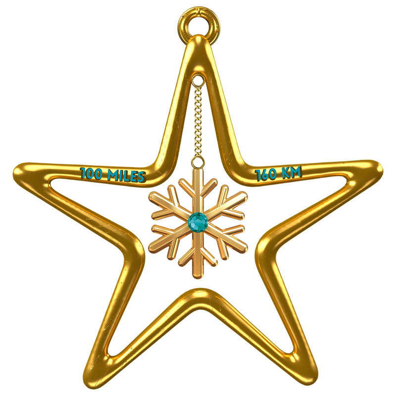 Shine Like a Star 100 Mile Challenge - Medal -NOW SHIPPING