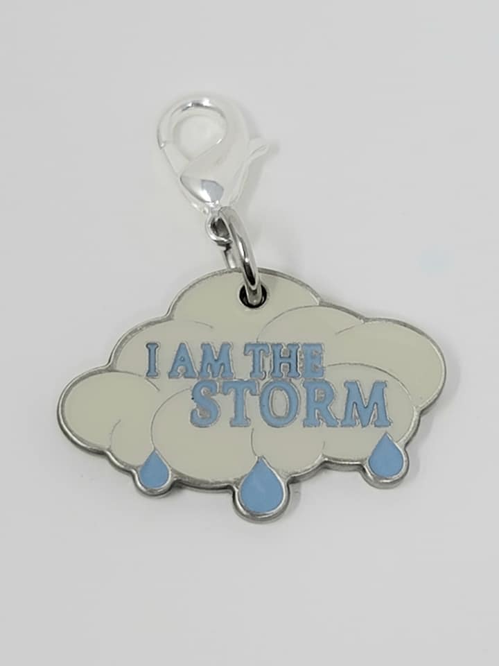 I am the Storm 100 Miler - CharMedal - NOW SHIPPING